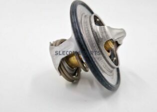 THERMOSTAAT NEF 81 GRADEN