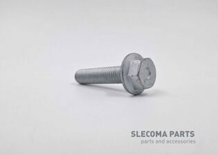 BOUT CARTERPAN F2CE M10X45